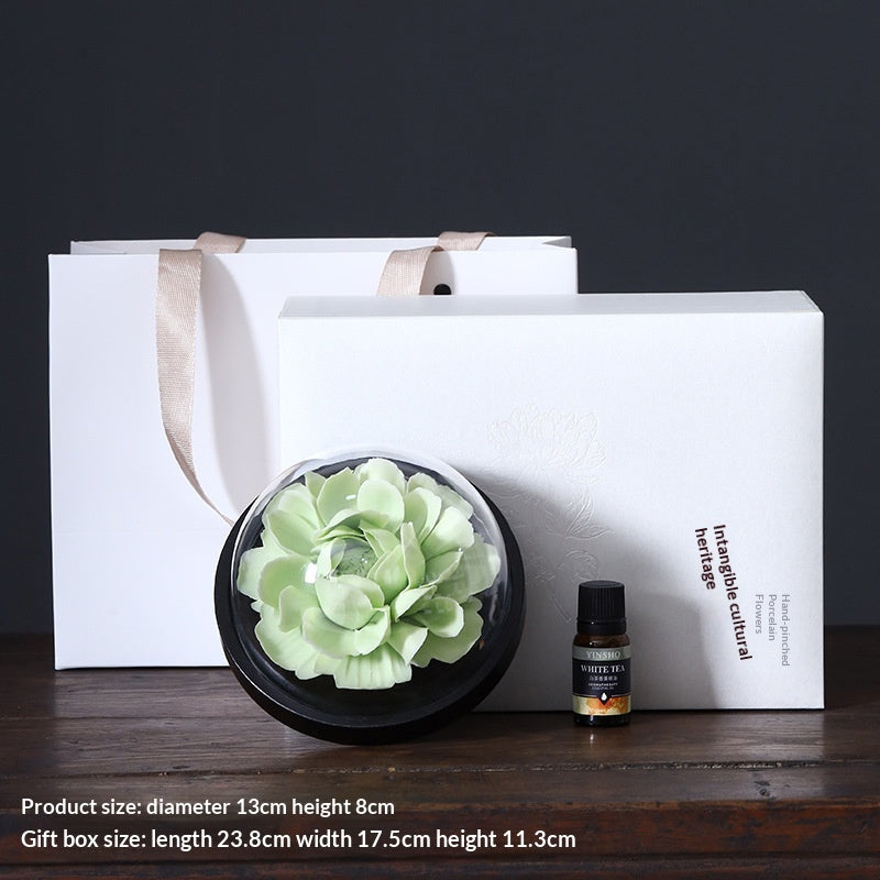 206b54a8-a3d4-42fb-8445-de844346cffd