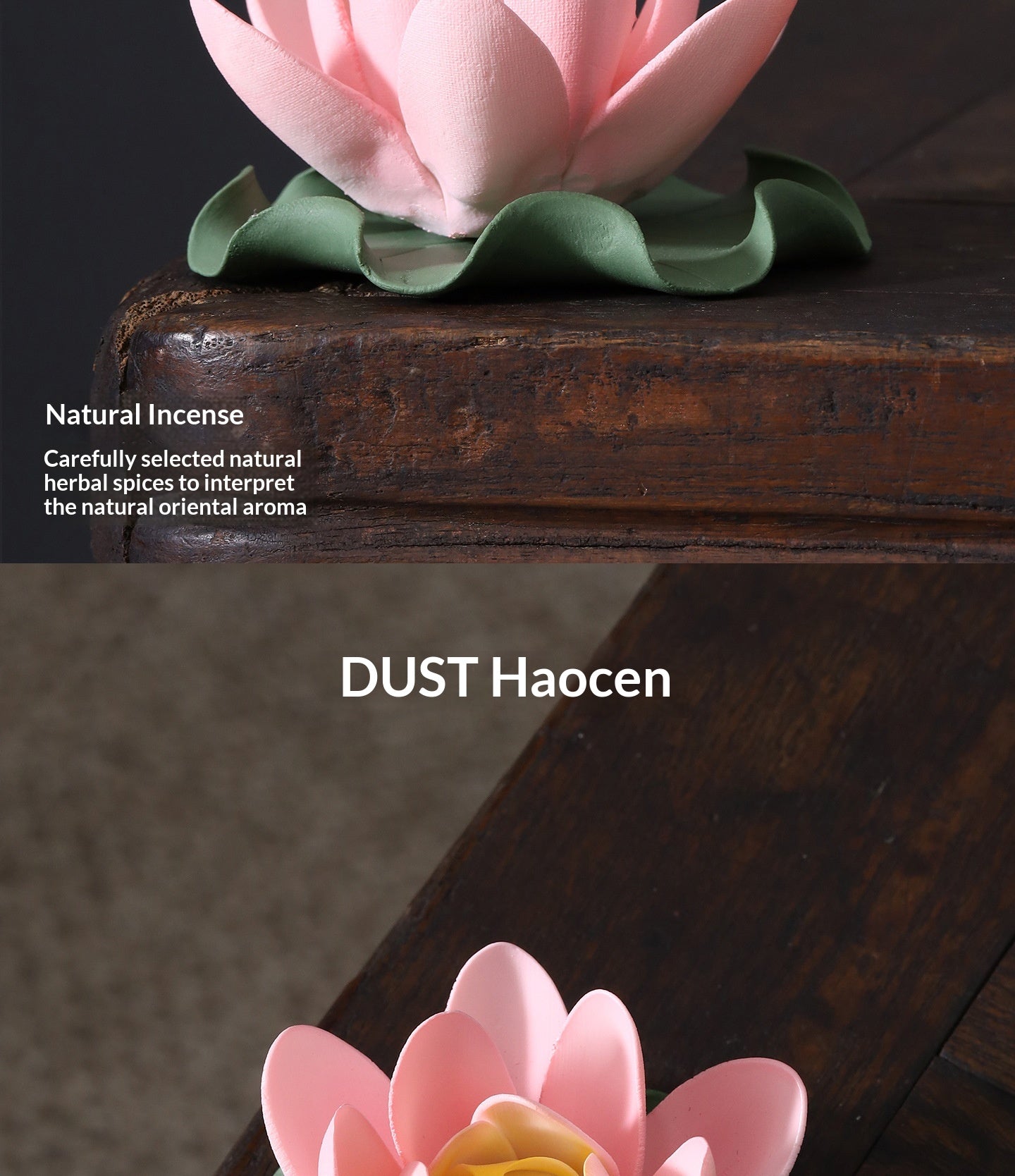 531b9db6-1716-4e19-a0a0-720497b3609d