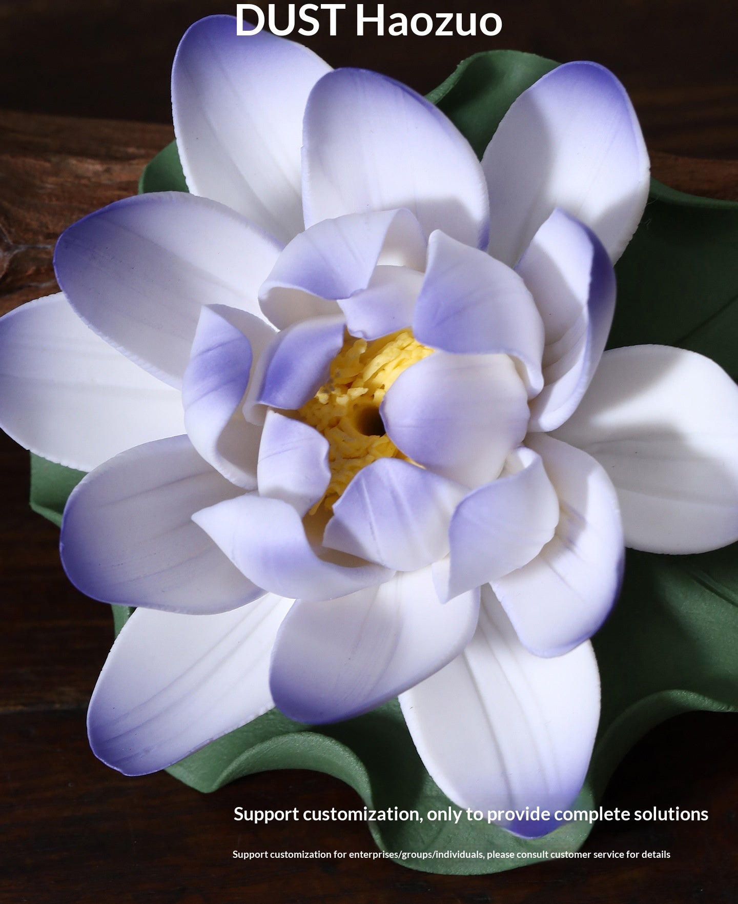 788d8cb0-416f-401c-89e5-979c745aba27