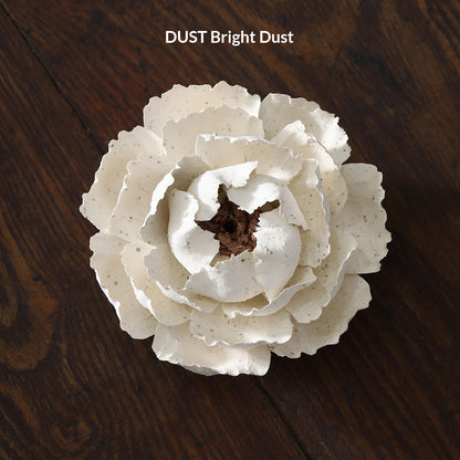 3b0978a5-729c-437a-bc9d-9e2b0699ba95