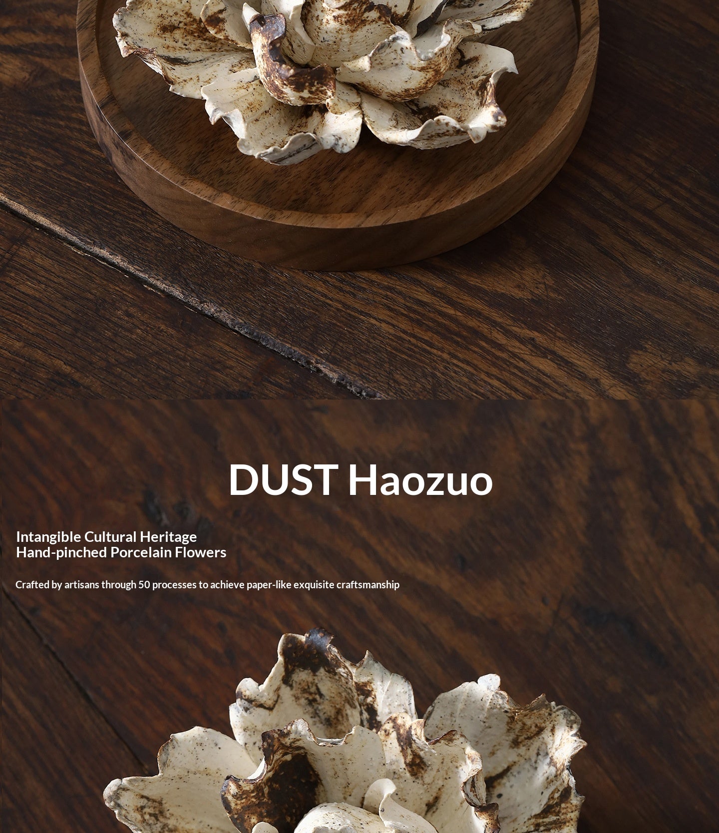 c0da562c-aed6-4ca9-af8d-a7b4b85994ce