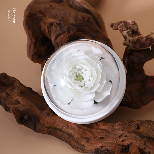 2fc8da09-745f-449c-bfe3-55162840830b