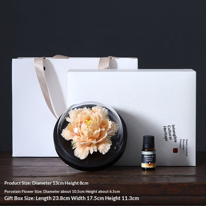 24e80c9e-5be8-4fc8-9164-a5979c5f1663