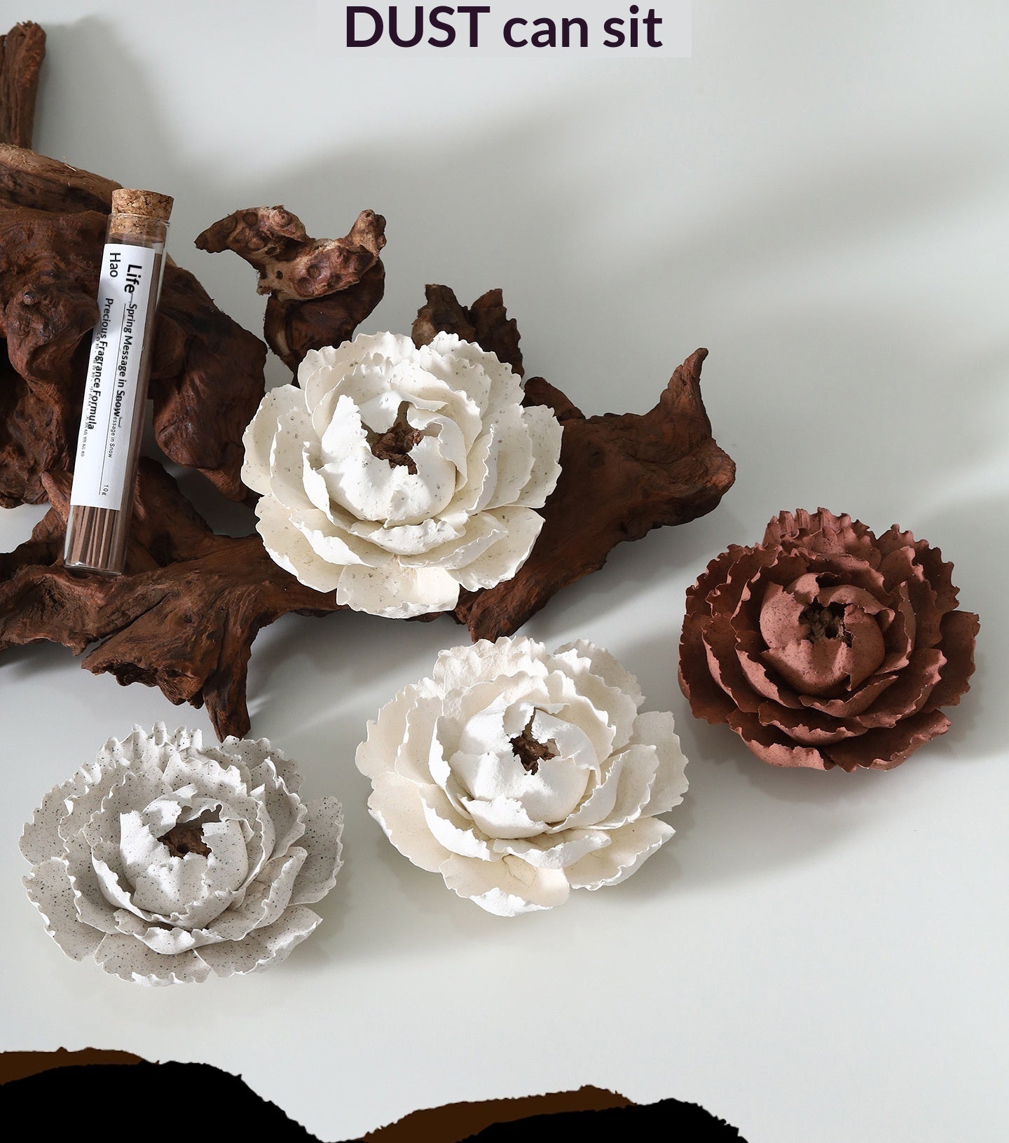 ae632770-b552-4733-acd3-e9c3c9b10d7b