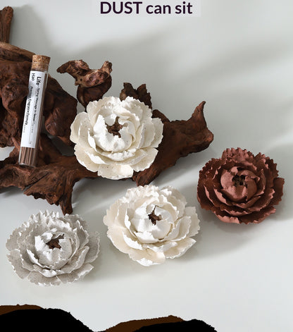 ae632770-b552-4733-acd3-e9c3c9b10d7b