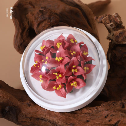 8c0271f5-cdab-4caf-880c-d3fc8e3e5f98