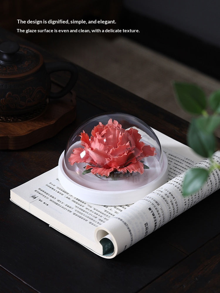 00f0d2d0-98b8-418f-aa91-37d47ef70419