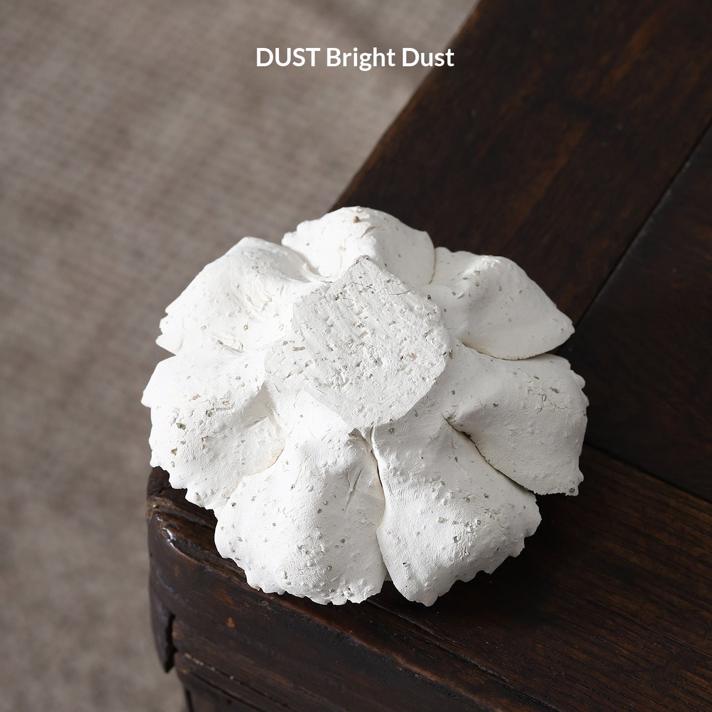 6c556ca1-25d8-46e0-82b4-f16c614d674b