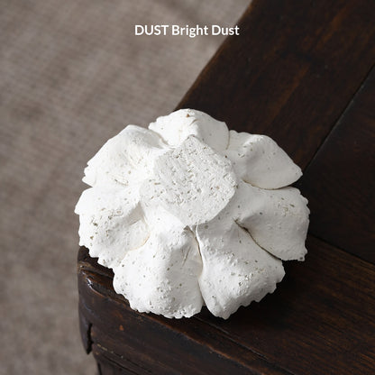 6c556ca1-25d8-46e0-82b4-f16c614d674b