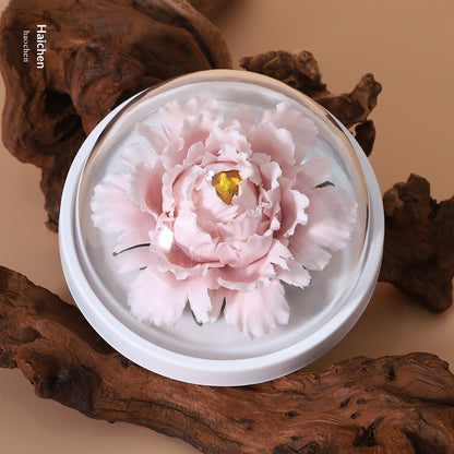 a8db91b3-a48c-452b-9c6a-843fe19387e0