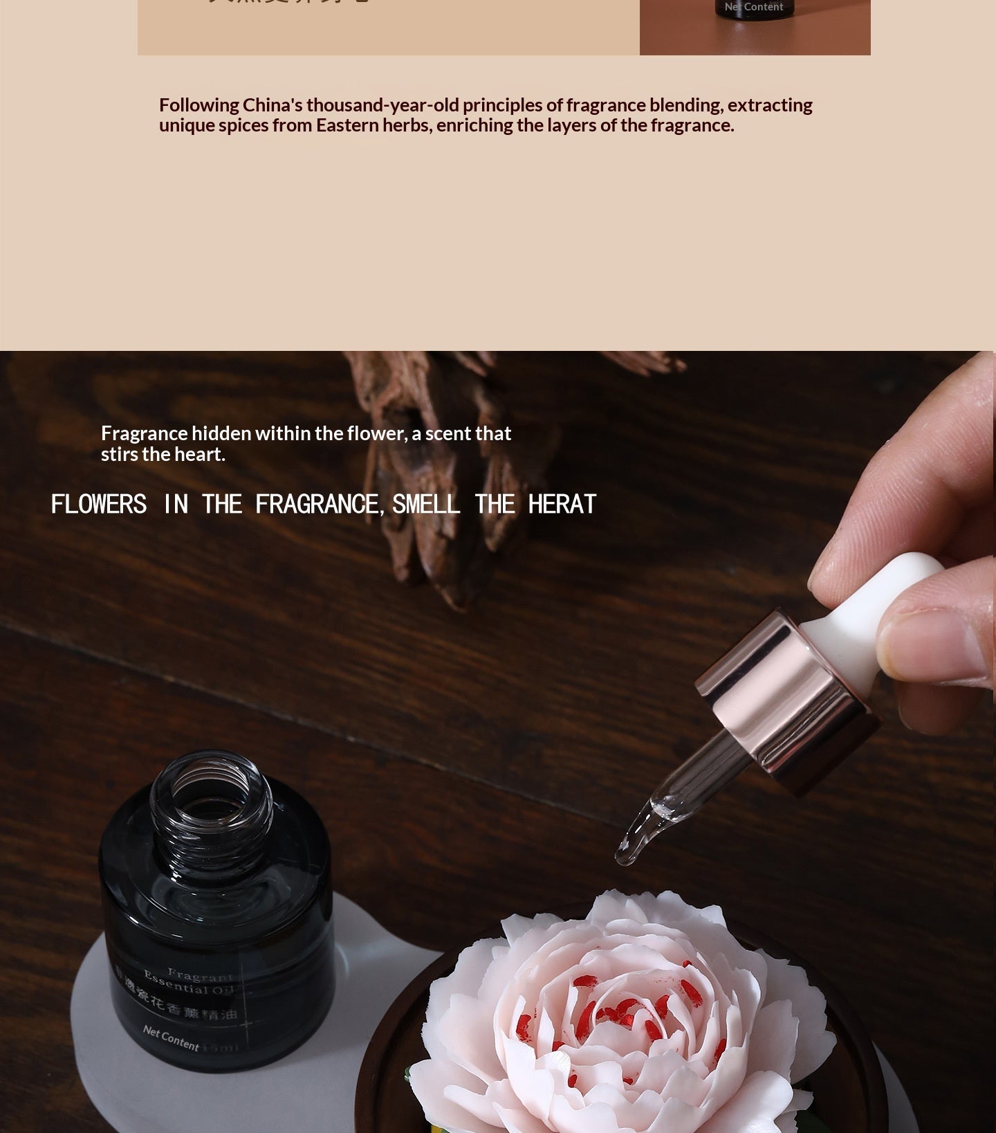 0dfa55be-636b-4a96-9422-9f53b9af34fb