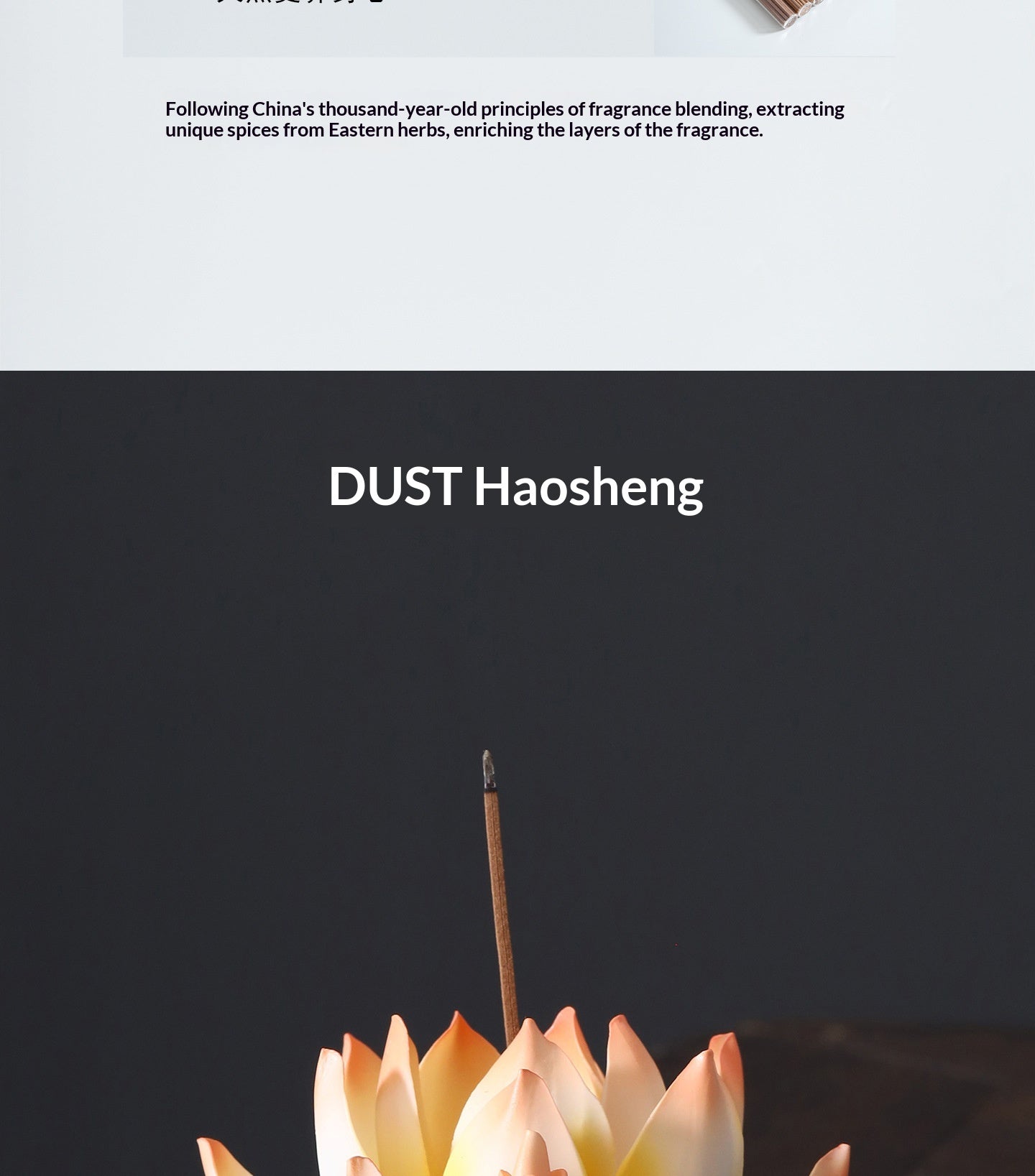 a5d50e28-7930-4eff-8600-4b6d84a99835