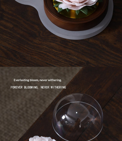 756ffdc6-c25a-4fa9-868d-9b105c170d48