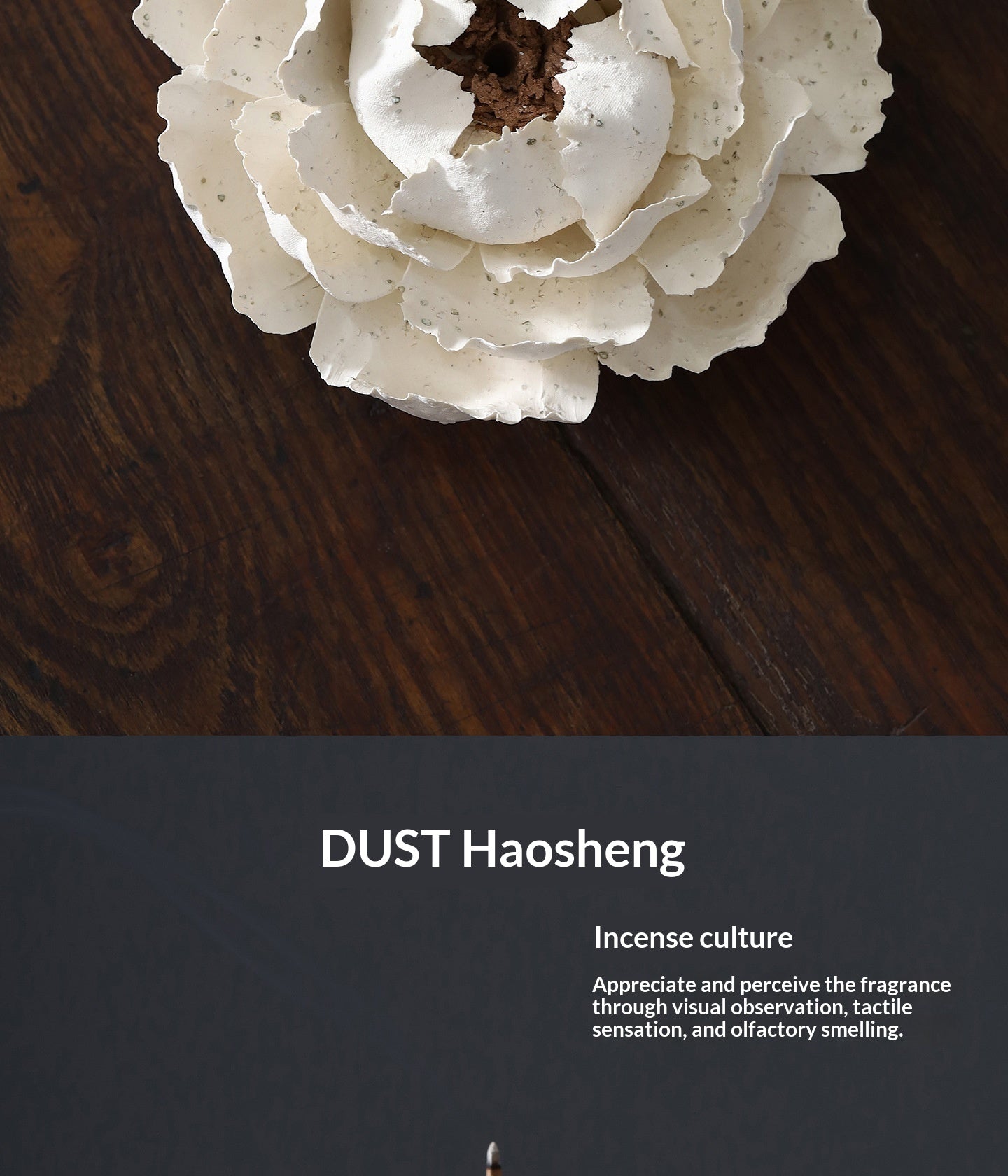 10cc3bb8-be01-4dd2-8729-846e31a99bdf